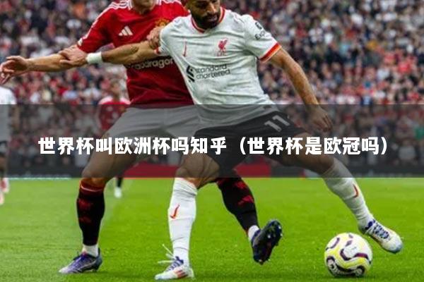 世界杯叫欧洲杯吗知乎(世界杯是欧冠吗)