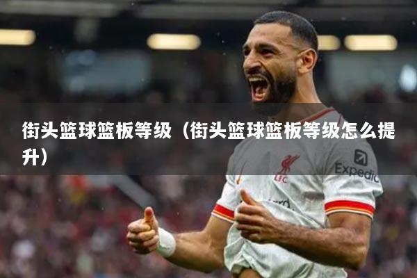 街头篮球篮板等级(街头篮球篮板等级怎么提升)