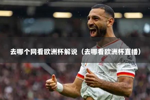 去哪个网看欧洲杯解说（去哪看欧洲杯直播）