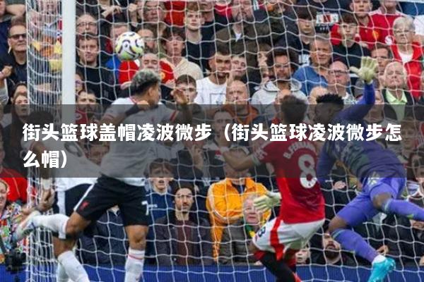 街头篮球盖帽凌波微步(街头篮球凌波微步怎么帽)