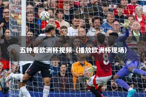 五钟看欧洲杯视频（播放欧洲杯现场）