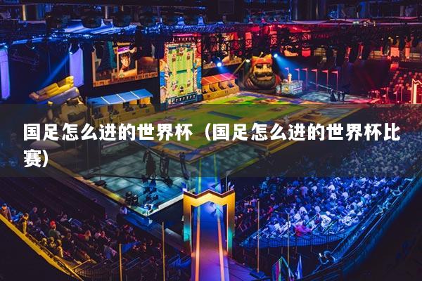 国足怎么进的世界杯（国足怎么进的世界杯比赛）