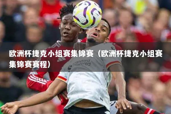 欧洲杯捷克小组赛集锦赛（欧洲杯捷克小组赛集锦赛赛程）