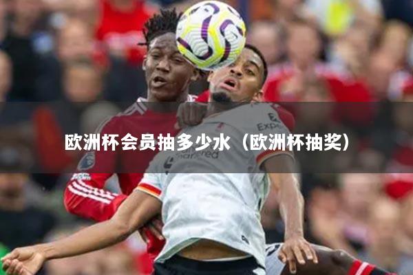 欧洲杯会员抽多少水（欧洲杯抽奖）